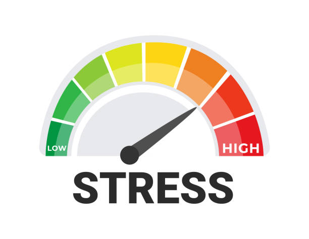 Illustration vectorielle d'indicateur de niveau de stress - entreprise de télésecrétariat médical à Madagascar - Serenity